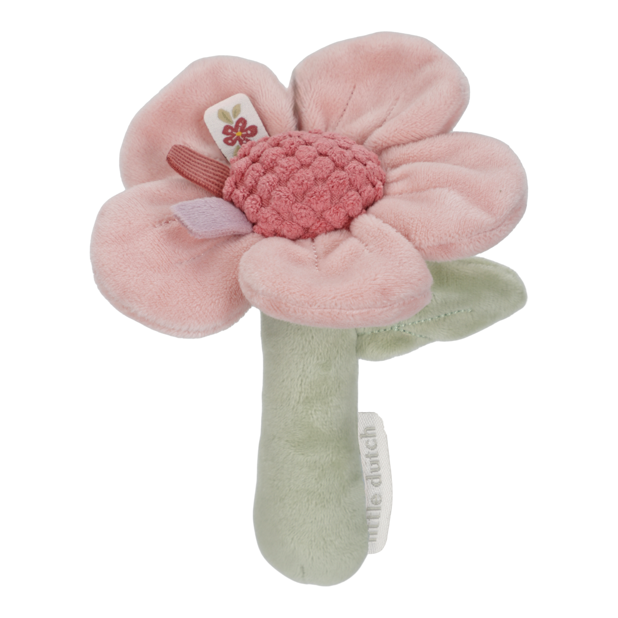Rattle Flower - Fairy Garden GRS